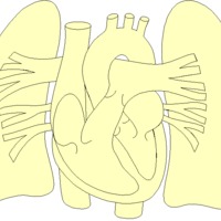 510 Waxy Tomb (12/16/12)