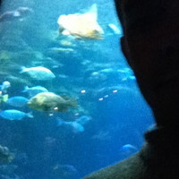 601 Sun Poisoning (2/24/13)