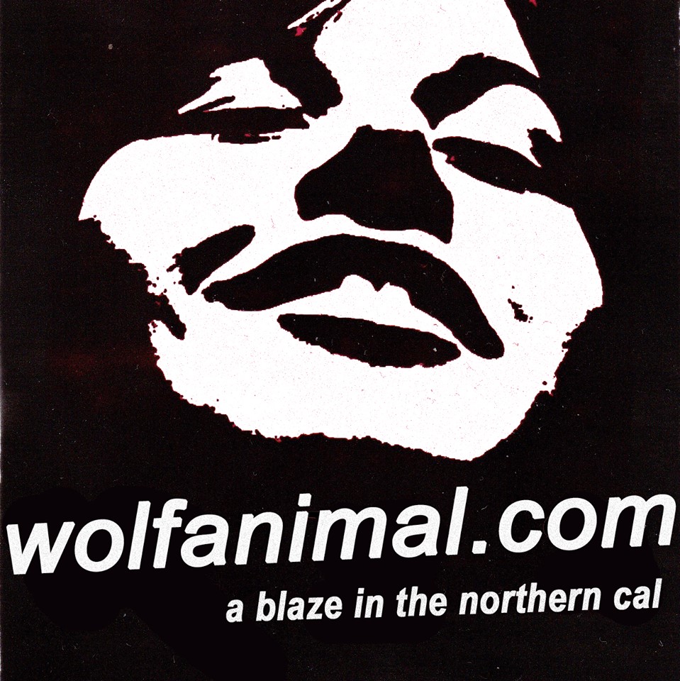 Wolf Animal Pov Radio
